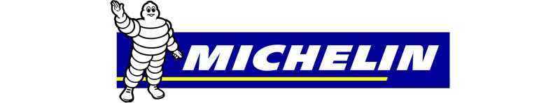 Michelin Pilot Sport Cup 2R 